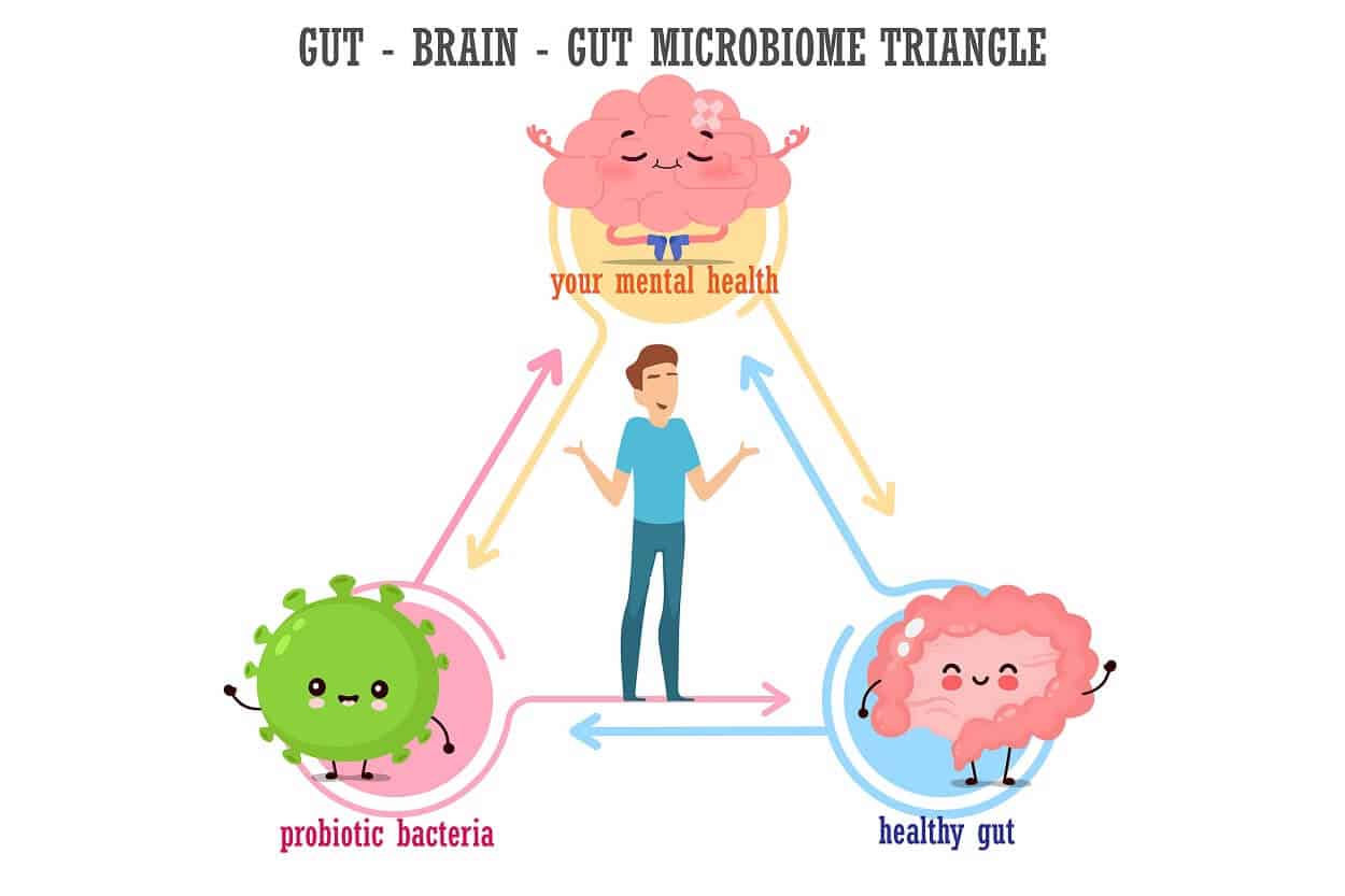 does gut microbiome affect the brain