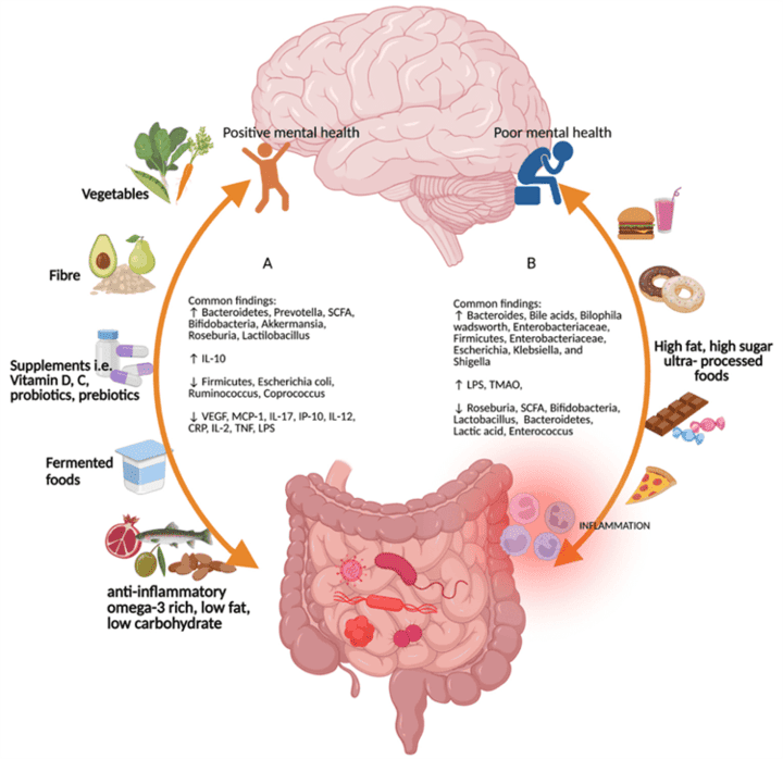 how does gut microbiome affect mental health