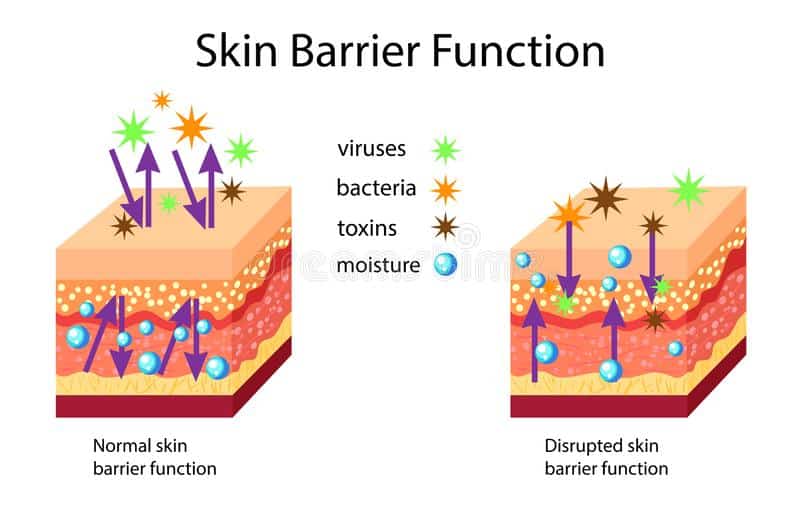 how to balance skin microbiome