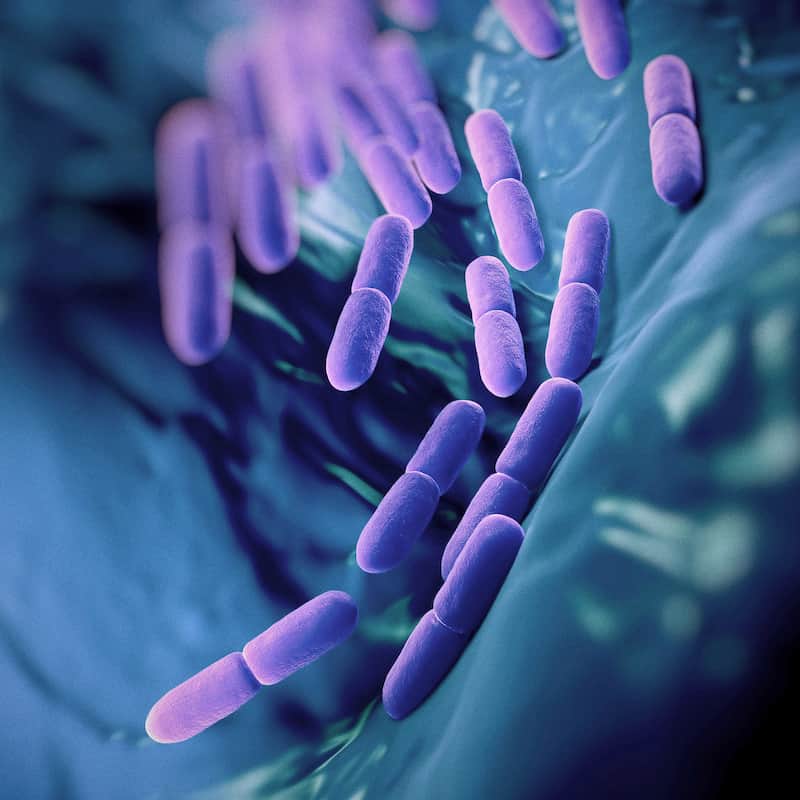 how does the gut microbiome influence human health