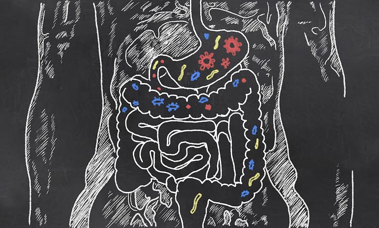 How Much Does the Microbiome Weigh: A Gut Health Guide