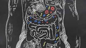 How to Check Your Gut Microbiome: Tests and Options